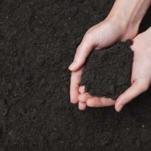 Topsoil