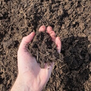 Compost Soil