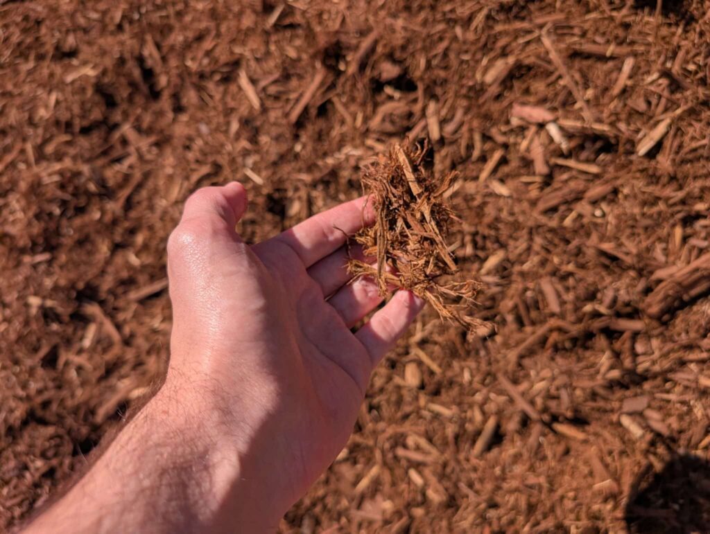 Red Shredded Mulch