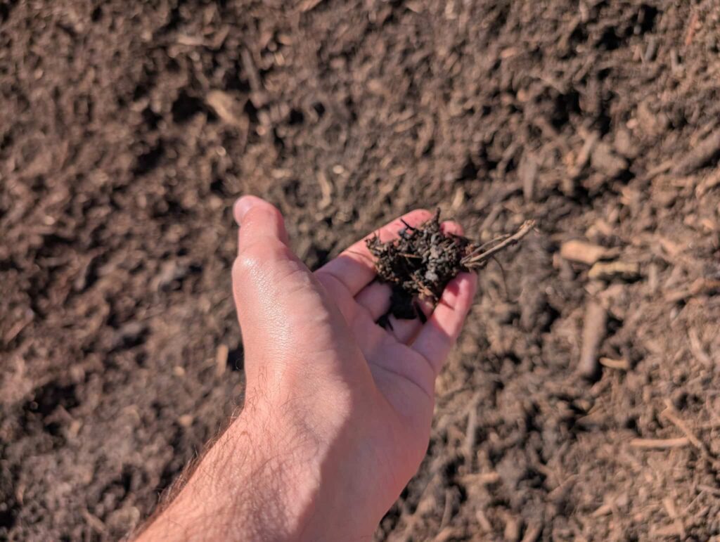 Black Shredded Mulch