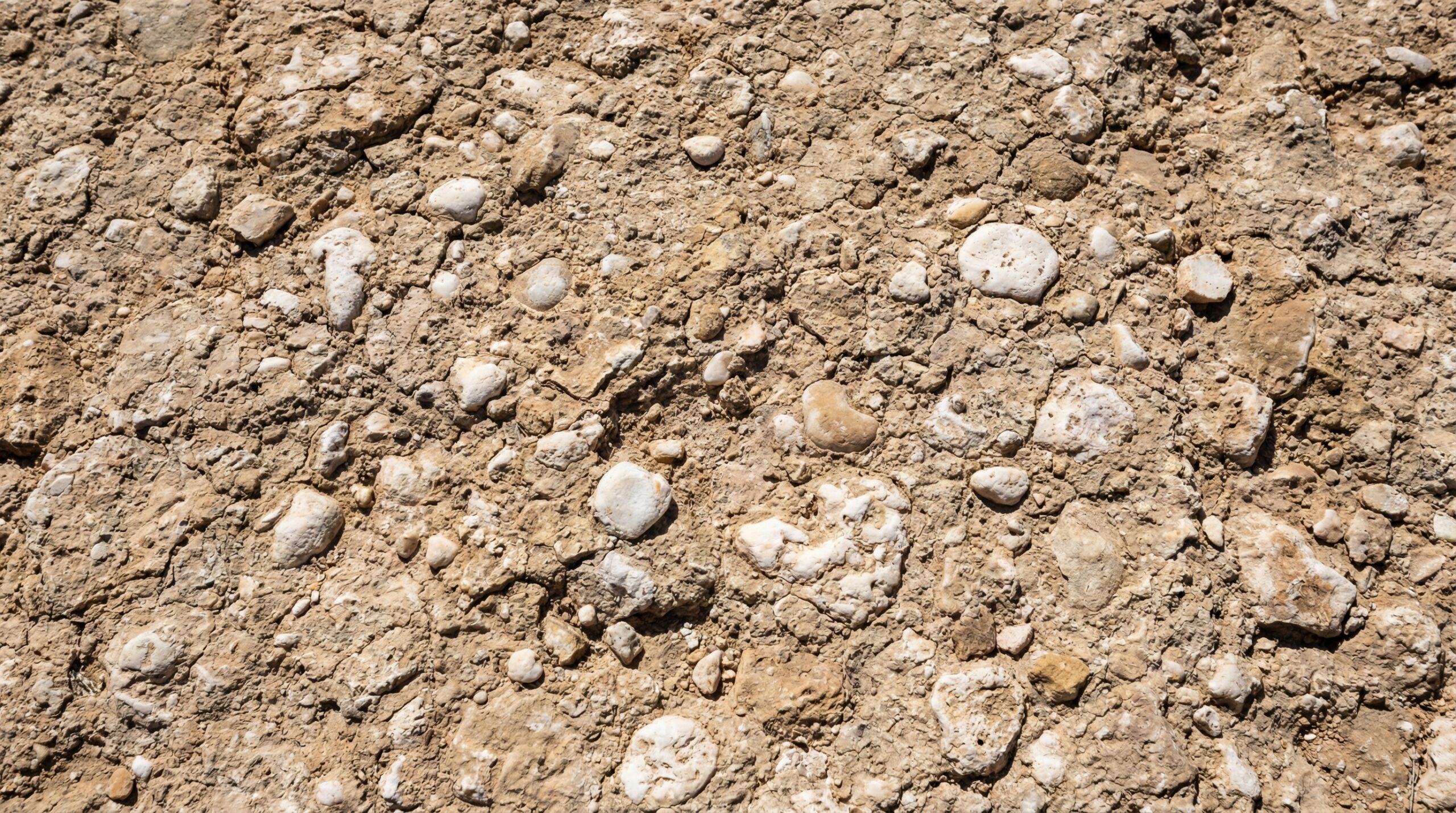 Caliche road surface showing natural hardened texture