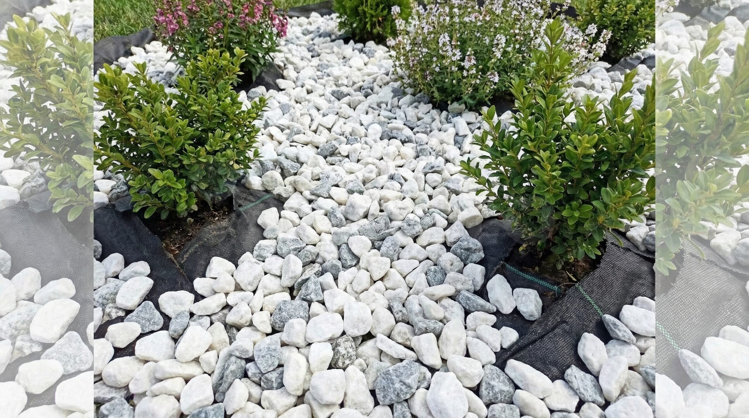 Dolomite mulch with landscape fabric for weed control