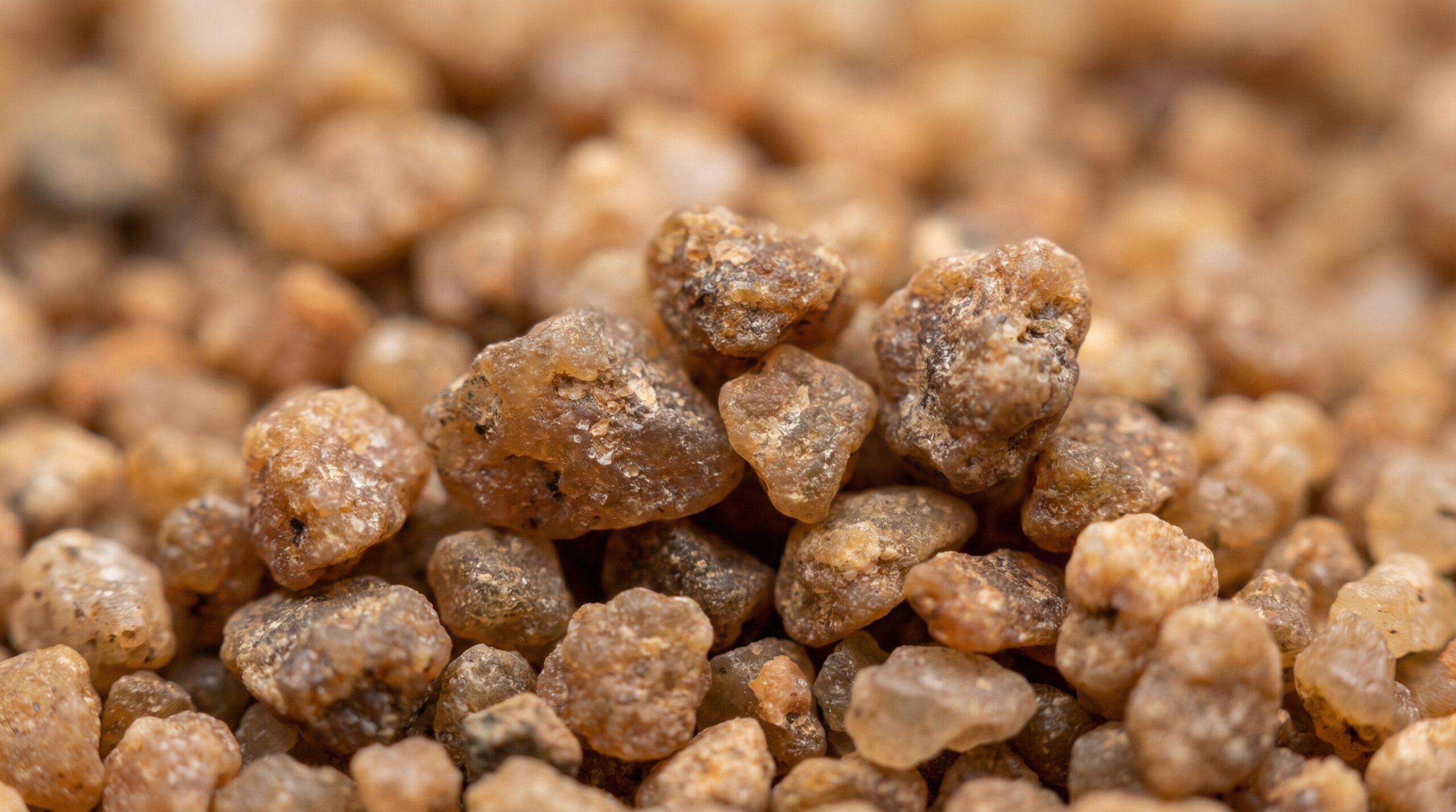 Close-up view of fill sand texture showing grain structure