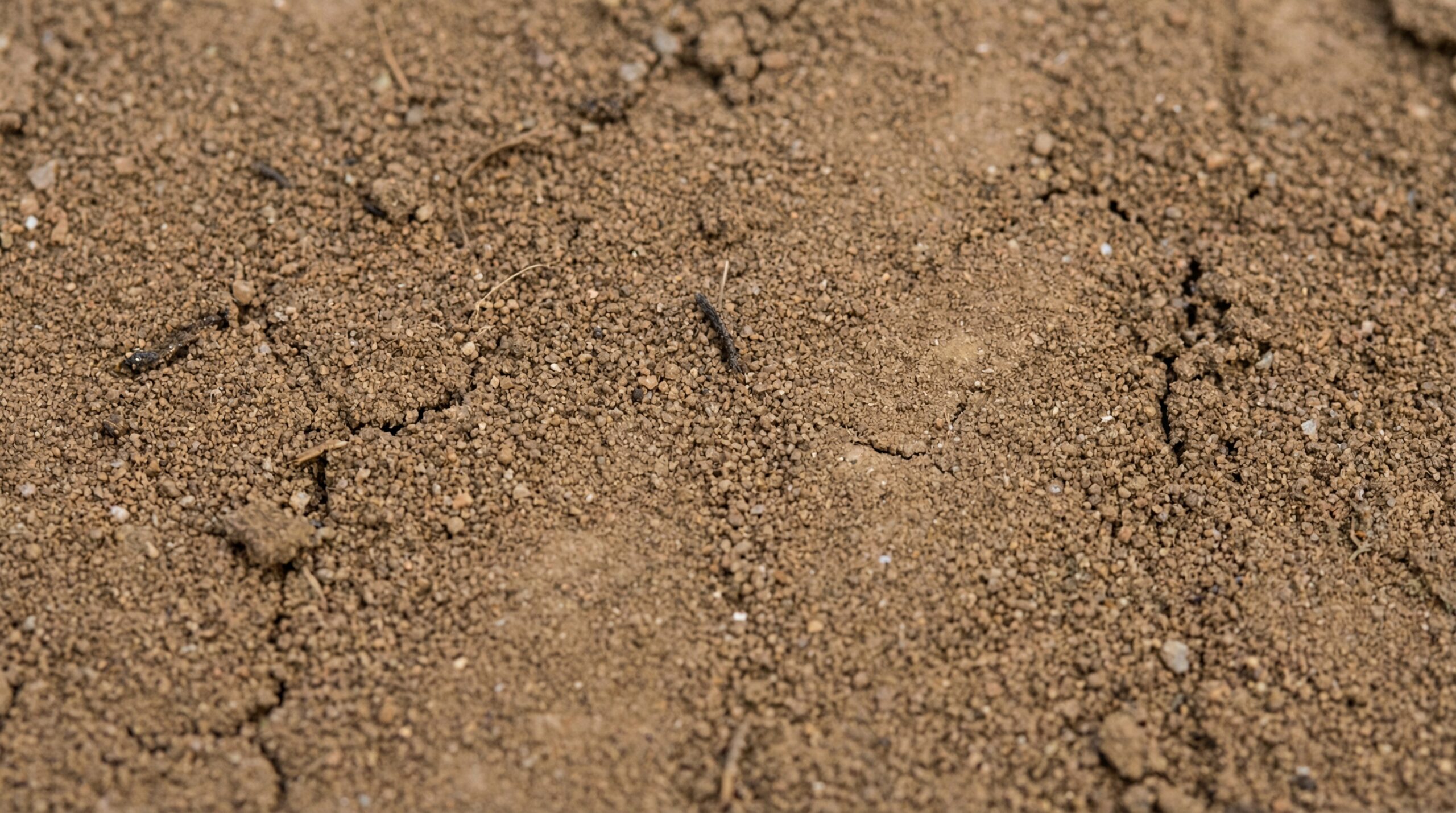 Close-up view of silt soil texture showing fine particles