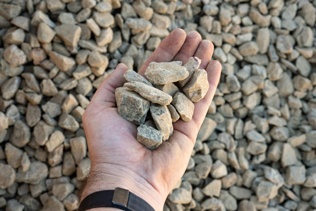 Valentine Gold | Palamino | Hello Gravel