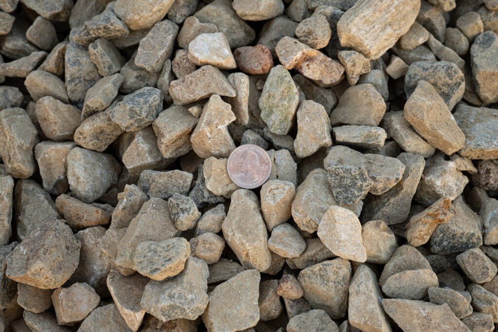 Valentine Gold | Palamino | Hello Gravel