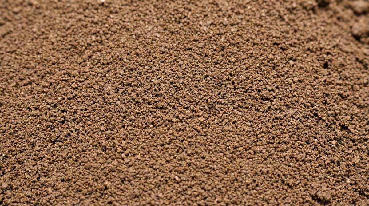 Close-up of silty loam soil texture